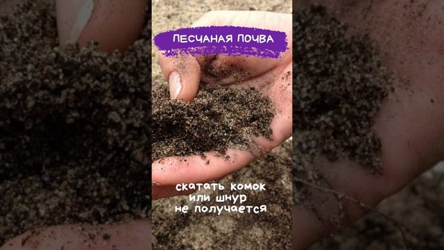 КАК ЗА 1 МИНУТУ УЗНАТЬ СОСТАВ ПОЧВЫ ? Как определить состав почвы без лаборатории