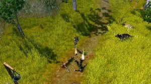 Обзор Sacred 2: Fallen Angel