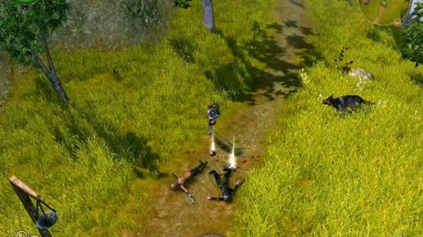 Обзор Sacred 2: Fallen Angel