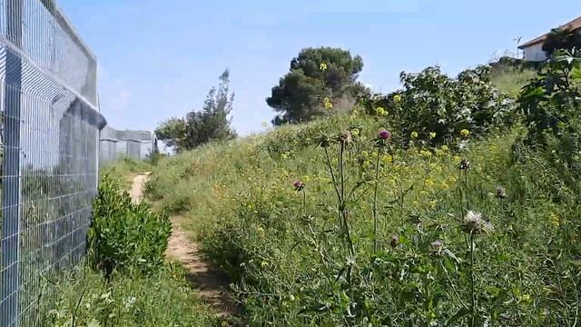 В Гиват аМоре иду сфотографировать древние архитектурные сооружения Израиля. Афула. смотреть онлайн