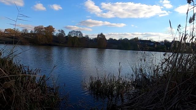 10 ненужных вещей в вашей жизни смотреть онлайн