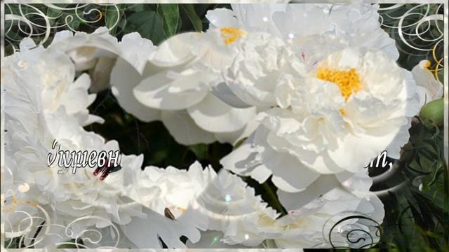 С добрым утром подруга моя милая? Музыкальная открытка с пожеланиями для подруги! смотреть онлайн