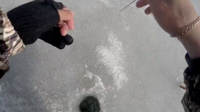 Ловля плотвы на безмотылку. Последний лед смотреть онлайн