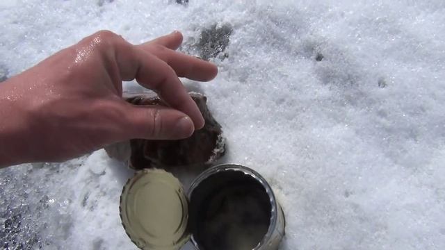 Веснянка лучшая наживка на рыбалке клюет вся рыба смотреть онлайн