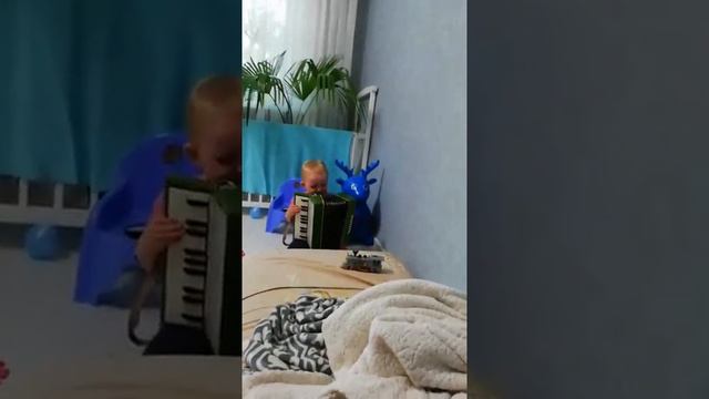 Малыш играет на аккордеоне смотреть онлайн