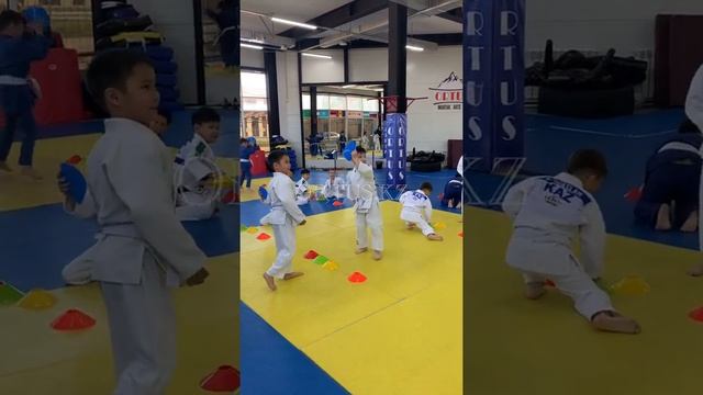 Тренировка на внимательность и реакцию. Дзюдо ORTUS.KZ смотреть онлайн