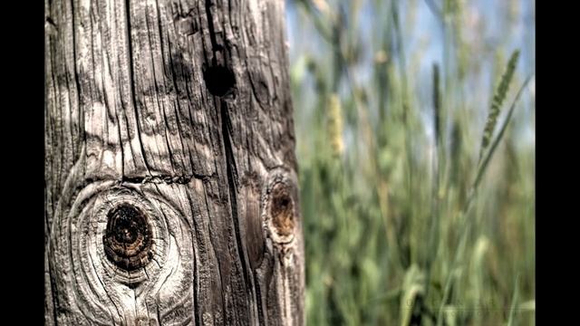 Nikon D3200 W/ 18-55mm Kit Lens Video + Photo's смотреть онлайн