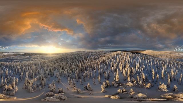 Four Seasons. Winter Forest. Relax Flight. 360 video in 12K смотреть онлайн