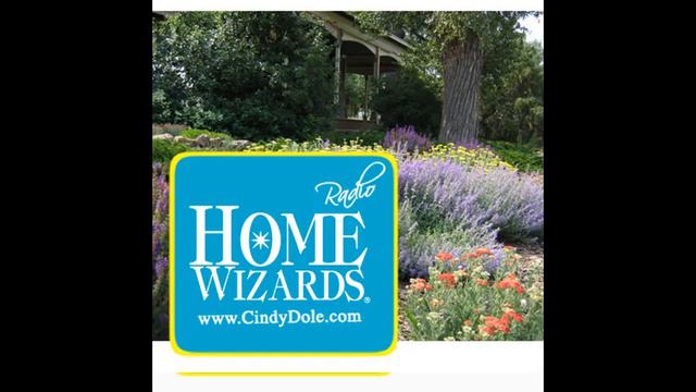 Summer Flower Planting Ideas