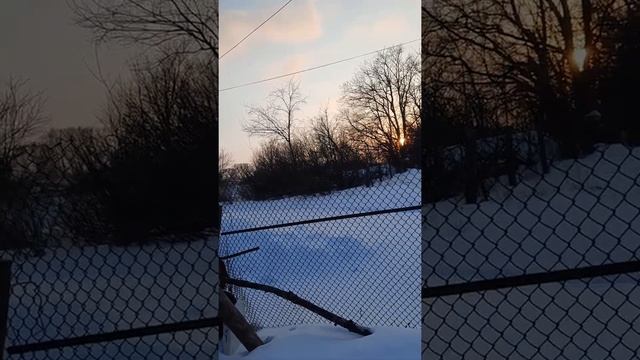 соглашения ред медия с триколор тв смотреть онлайн