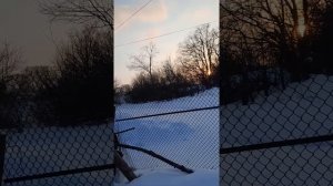 соглашения  ред медия с триколор тв