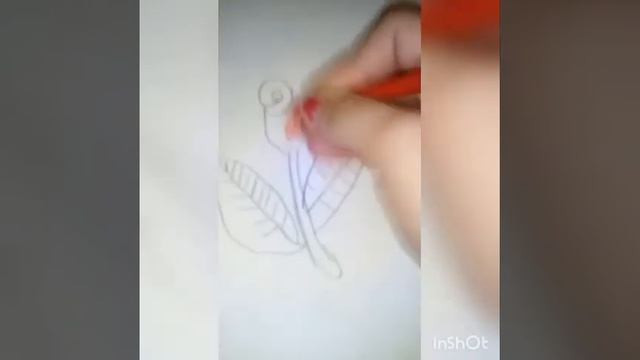 Как легко , нарисовать розу смотреть онлайн