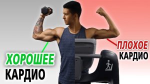 ОШИБКИ УБИВАЮЩИЕ РОСТ МЫШЦ | КАРДИО тренировка .#спорт#фитнес#бодибилдинг