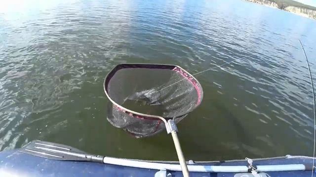 Много осенней щуки в солнечный сентябрьский день. Твичинг крупными минноу. смотреть онлайн