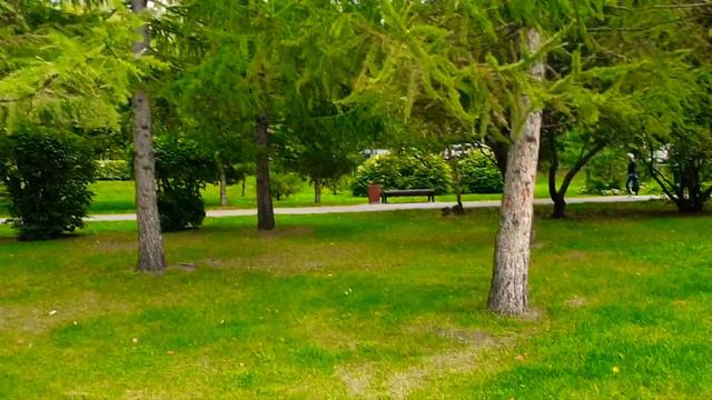 🚩В городском саду играет... смотреть онлайн