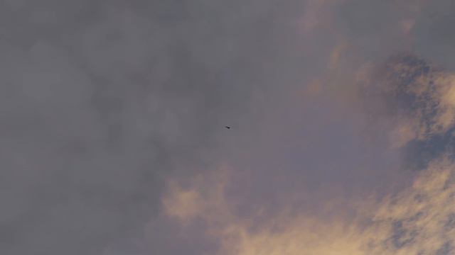 Phalanx CIWS: Effective Against F/A-18C? l DCS World смотреть онлайн
