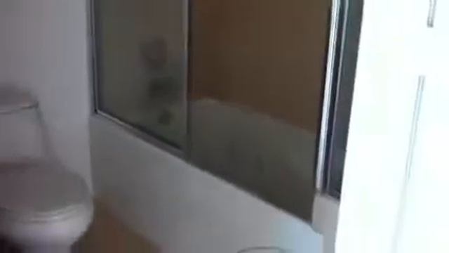 610 Clematis #603 смотреть онлайн