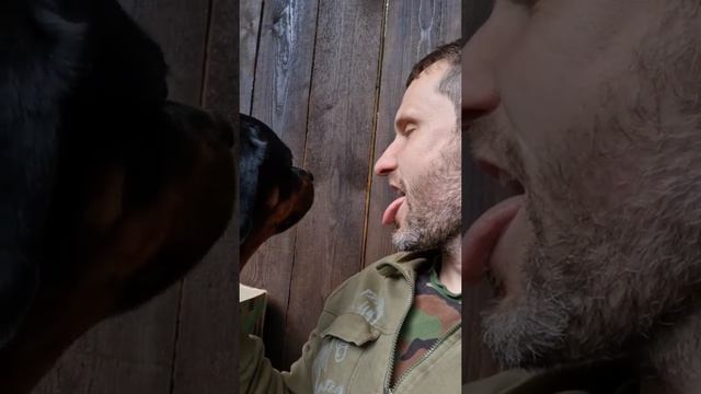 Luna the loving panther. ? ? Hugs with leopard and rottweiler. смотреть онлайн