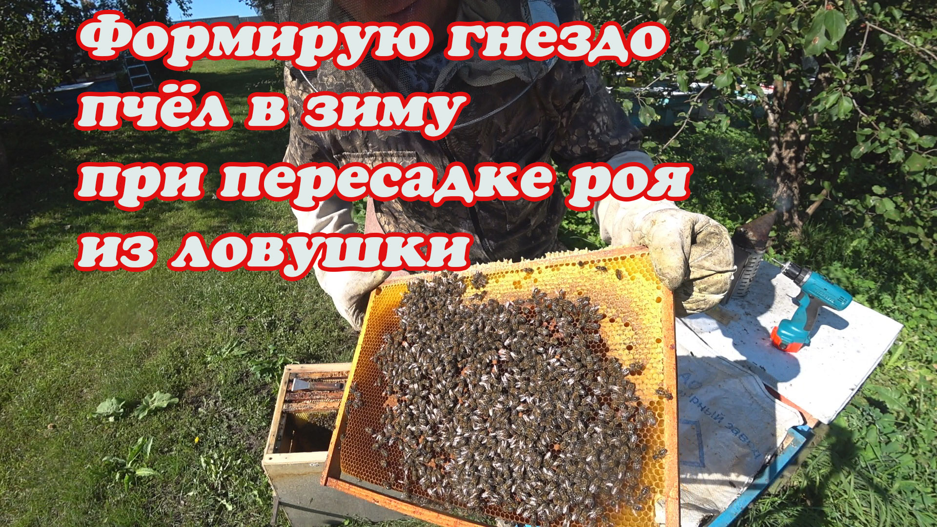ПЕРЕСАДКА РОЯ ИЗ ЛОВУШКИ В УЛЕЙ С ФОРМИРОВАНИЕМ ГНЕЗДА В ЗИМУ И СМЕНОЙ МАТКИ. смотреть онлайн