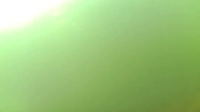 Не клюет? А рыба есть ! смотреть онлайн