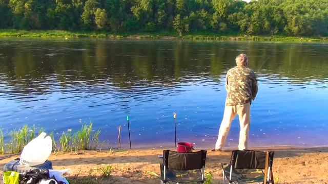 Ласковый и голодный котенок на рыбалке смотреть онлайн