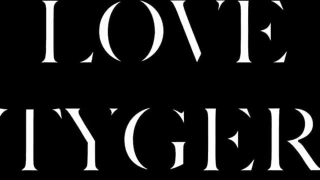 Love Tyger - The Code (Mesa Boogie JP2C) смотреть онлайн