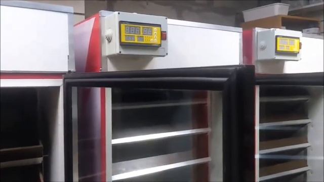 Инкубатор для яиц. Считаем окупаемость вместе смотреть онлайн