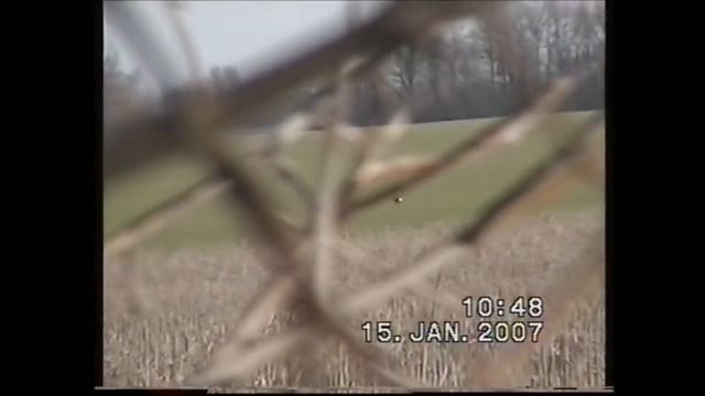 Охота на барсука с ягдтеьером! The Badger Hunt, with Jagdterrier смотреть онлайн