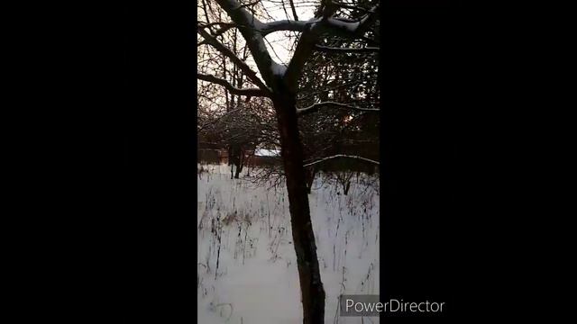 Зосимова пустынь под Александровым. смотреть онлайн