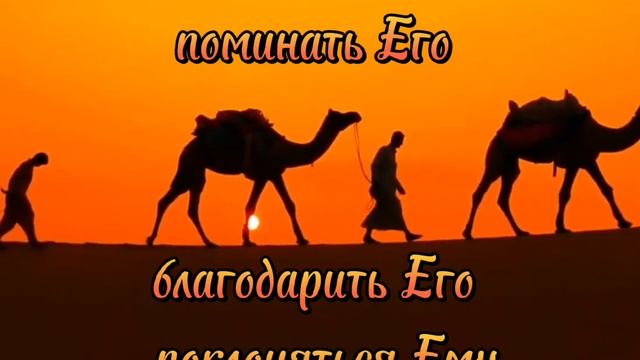 Джума Мубарак !