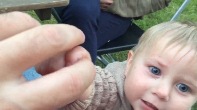 дача. Серега на дереве смотреть онлайн