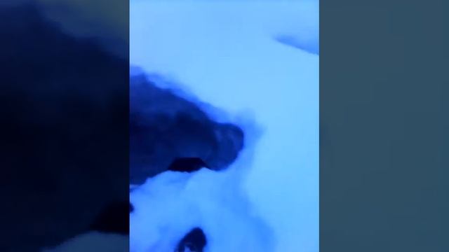 хахахахах провалился!!!!!! смотреть онлайн