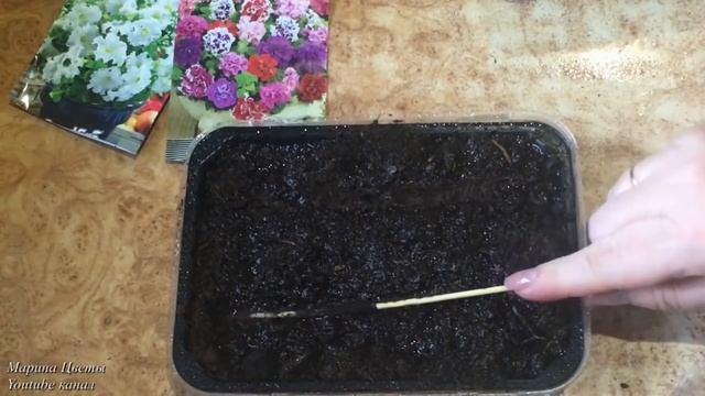Сеем ПЕТУНИЮ. Дражжированную !!! смотреть онлайн