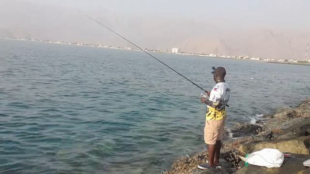 UAE fishing for whatever bites,# salt water Jigging. смотреть онлайн