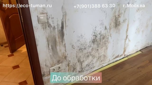 Ремонт квартир своими руками