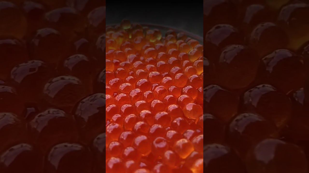 Красная икра ждет своего новогоднего часа #shorts смотреть онлайн