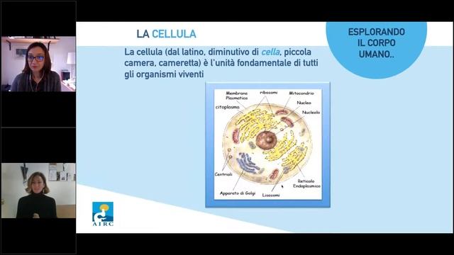 Vita da ricercatrice, webinar con Laura Ottini, ricercatrice AIRC смотреть онлайн