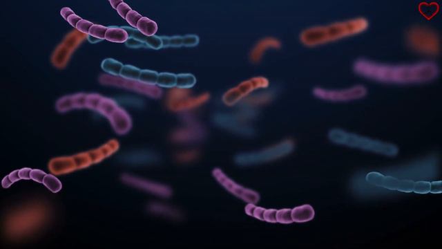 Agrega REMOLACHA a tu dieta y de esta manera cambiara tu vida смотреть онлайн