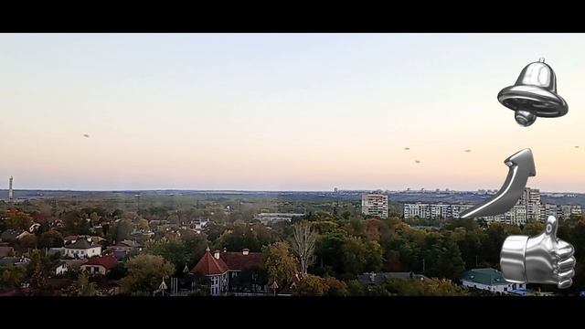 Молодец. Садись пять. смотреть онлайн