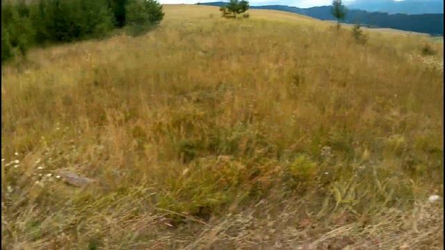 Поселок Курай Часть2 Тропа лесовоза. Спуск с большой и крутой горы. смотреть онлайн