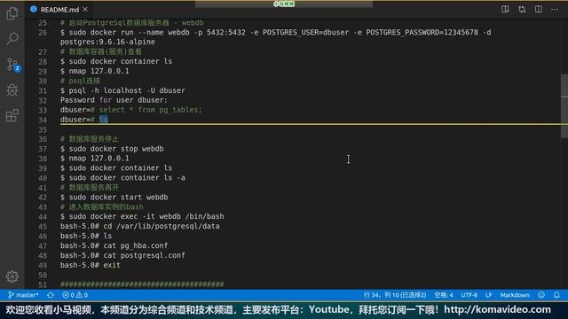 【Docker入门教学】搭建PostgreSql数据库服务器 p.7 смотреть онлайн
