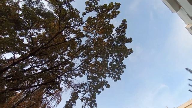 ЖК Аристово -Митино смотреть онлайн