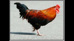 Три брата-мастера всегда трудятся вместе