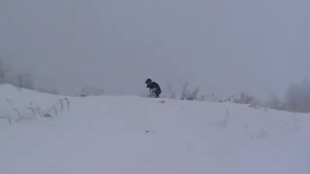 Снегоход. Сургут 2011г.