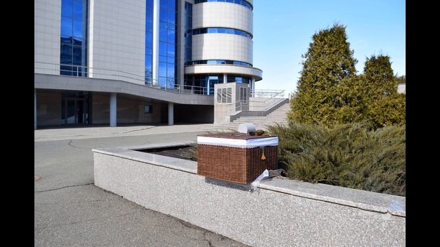 Стоило ли заморачиваться и самой варить морилку смотреть онлайн