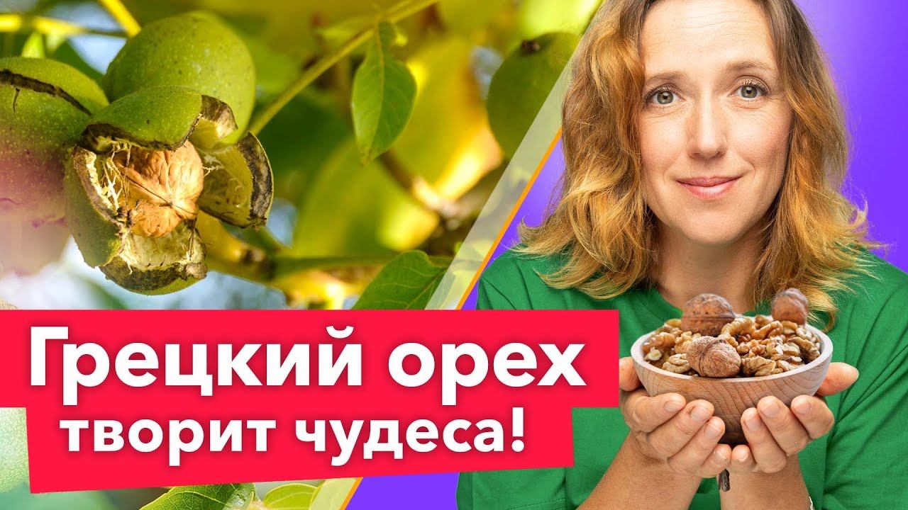 САМЫЙ ПОЛЕЗНЫЙ ОРЕХ! Уникальные свойства и секреты выращивания грецкого ореха смотреть онлайн