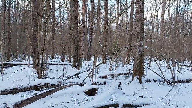 Югра очень широкий поиск ! Ванга тоже далеко уходит . смотреть онлайн