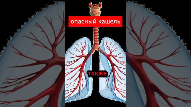 Чем опасен ночной кашель? смотреть онлайн