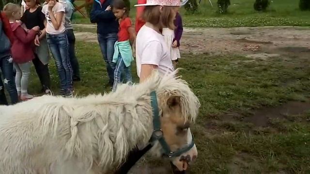 Детский отдых на пони ферме Конек Горбунок Шолохово Калининград смотреть онлайн