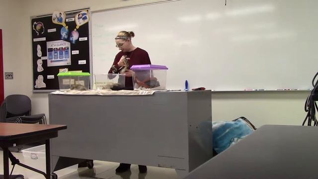 VETS 369 Guest Speaker 10/23/19 смотреть онлайн